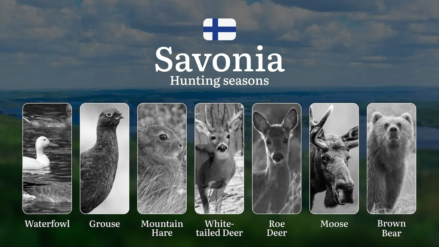 Hunting Seasons in SAVONIA (SAVO): Opening and Closing Dates, Game Activity,  License Requirements and Vital Rules