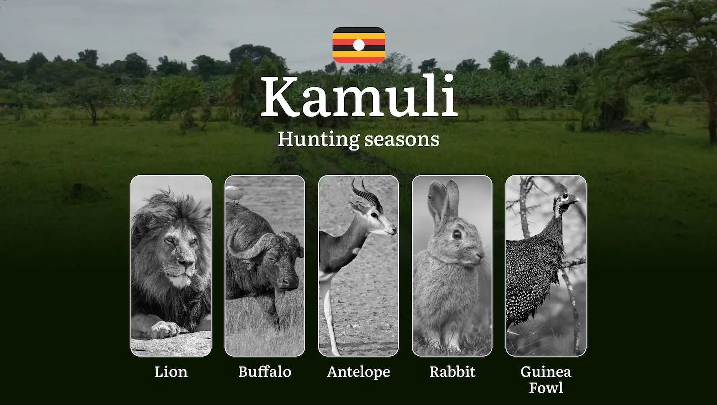 Hunting Access Dates in Kamuli: Key Hunting Periods for All Species, Restricted Areas, Rules and Exceptions, Getting You…