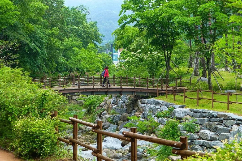 인천광역시의 사냥 활동: 지역적 배경과 사냥 문화의 특징