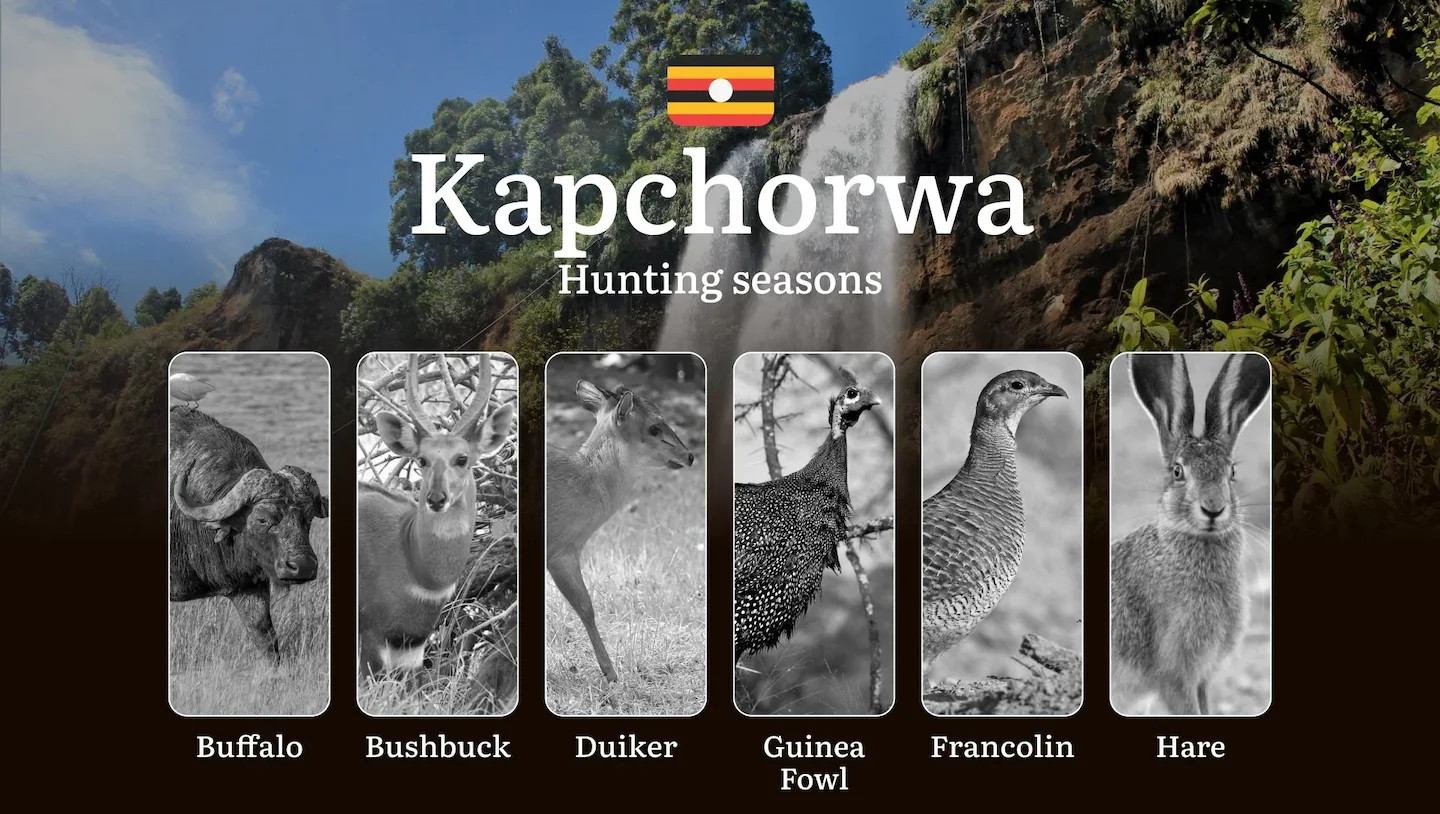 Permitted Hunting Intervals in Kapchorwa: Year-Round Huntable Wildlife, Seasonal Migration of Game, and the Process for…