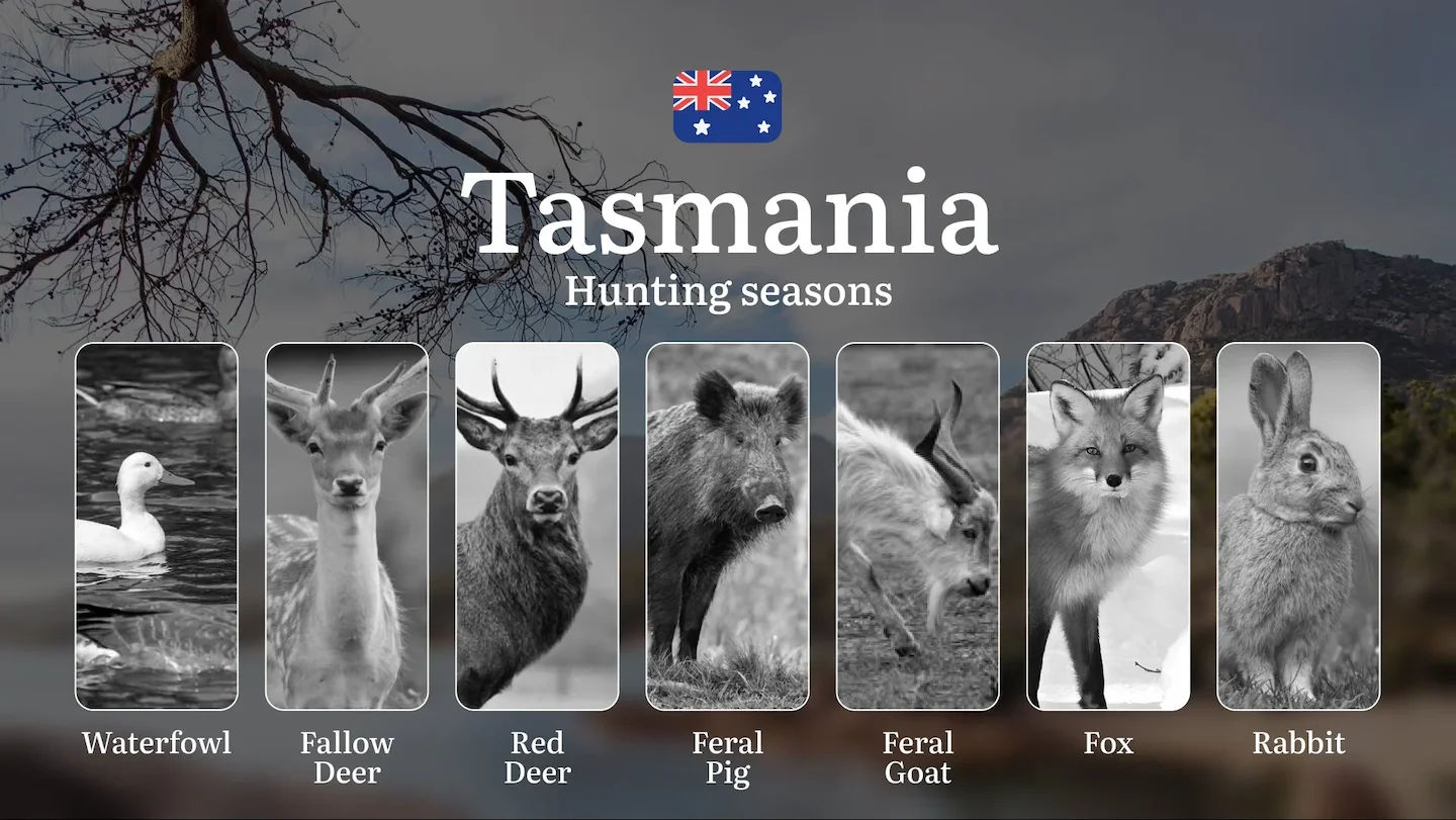 When the Time is Right: Hunting Calendar and Regulations for Deer in Tasmania