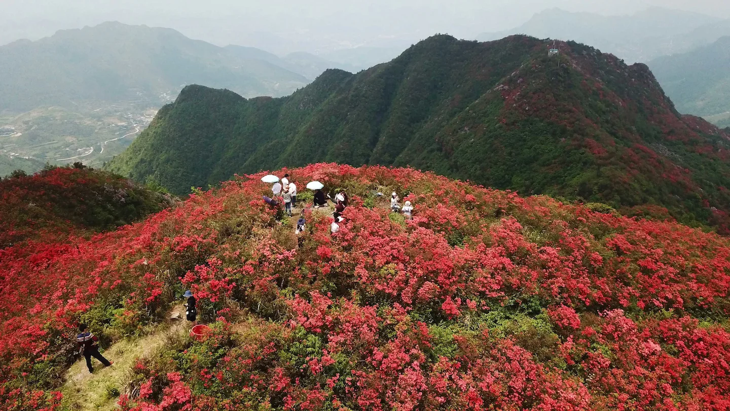 지리산 인근 사냥터