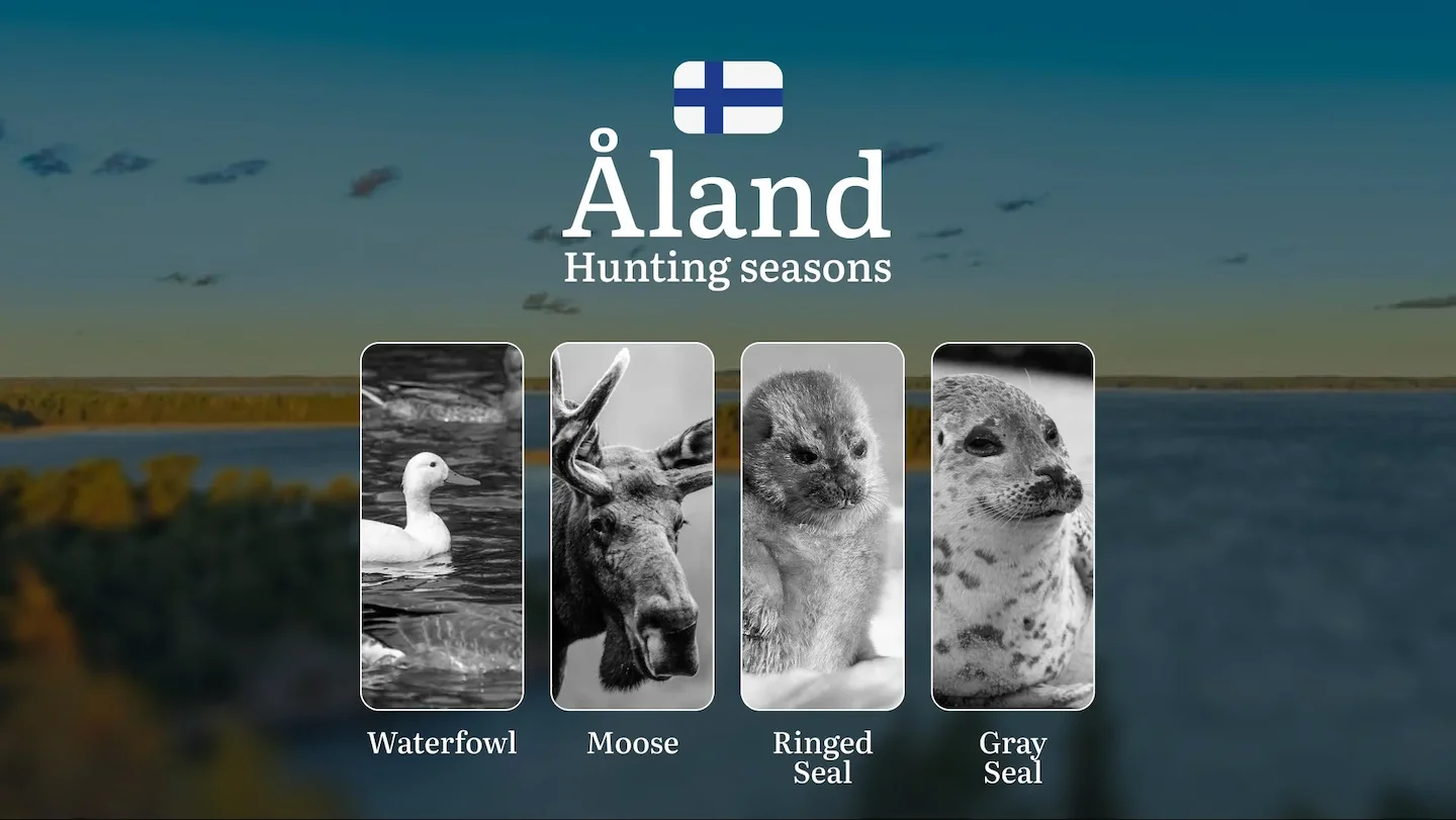 Hunting Seasons in ÅLAND: Opening and Closing Dates, Game Behavior, Required Licenses, Key Rules, Special Hunting Events…