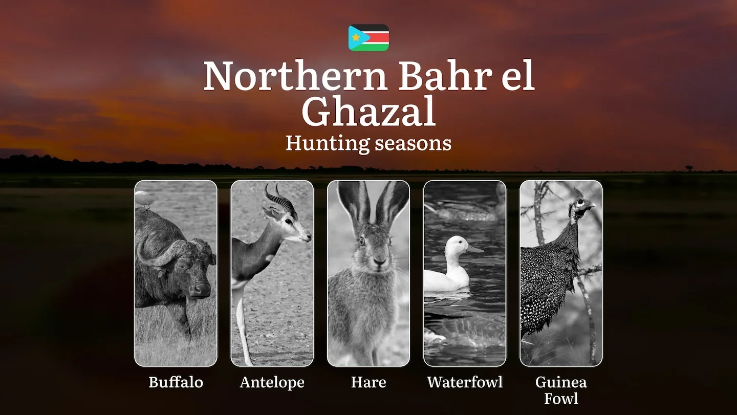 Hunting Calendar for Northern Bahr el Ghazal: Regulations, Permits, and Best Time for Hunting, Documents and Organizatio…