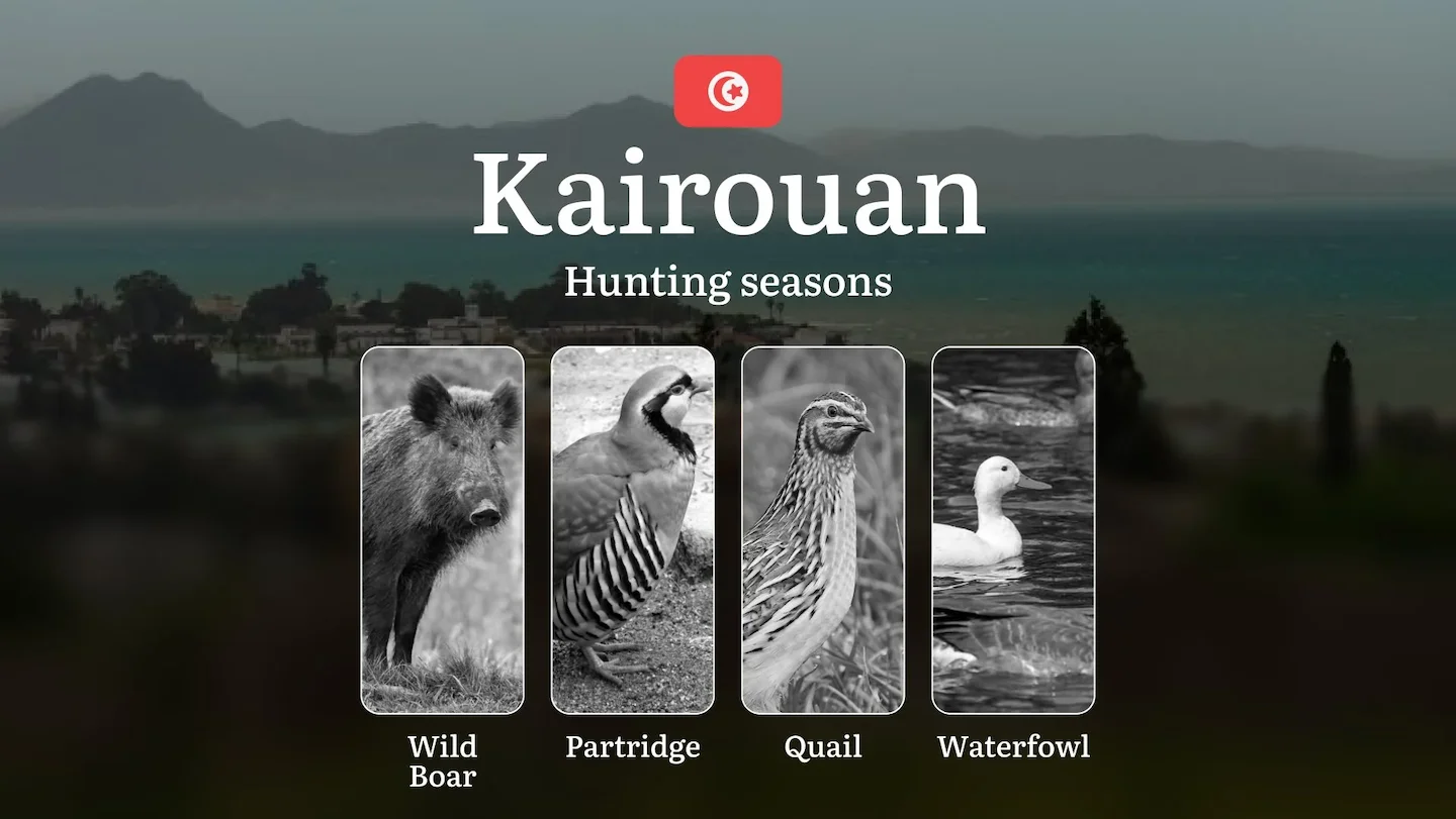 Hunting Seasons in KAIROUAN: Key Opening/Closing Dates, Optimal Periods, License Requirements, Protected Species, Restri…