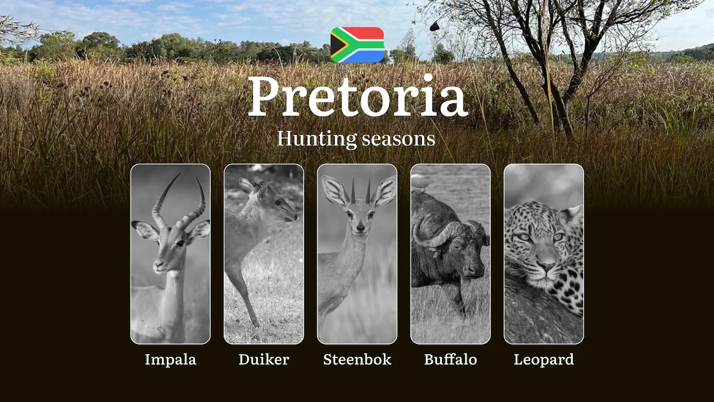 Dates of Hunting in South Africa: Pretoria Region – Seasons and Periods, Regulations and Permits, Permits and Times for…