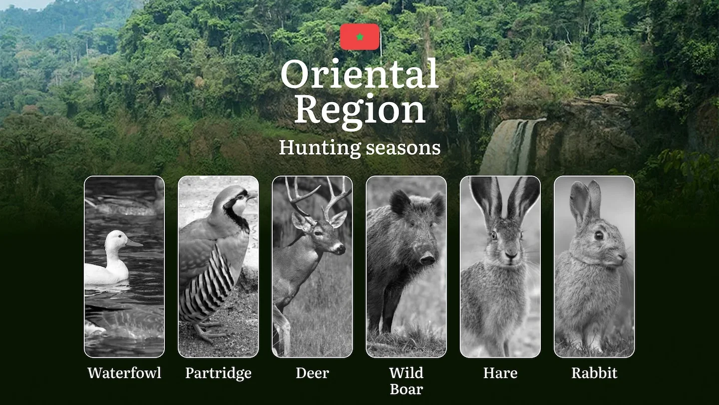 Hunting Seasons in Oriental Region: Restrictions, Bans, and Protected Species, Choosing Timing, Gear, and Tactics