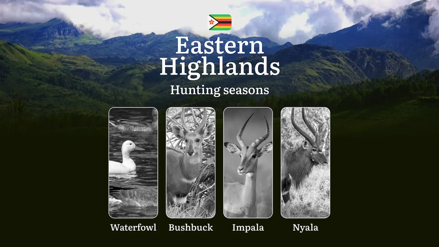 Hunting Seasons in Zimbabwe, EASTERN HIGHLANDS: Timing, Regulations, Tips and Permits for Hunting, Consequences of Viola…