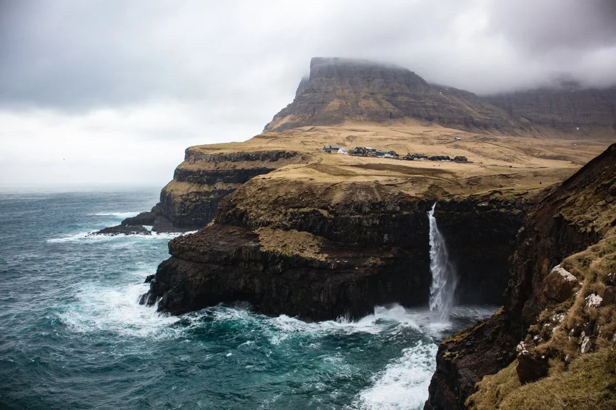 UK MPs Demand Immediate Action to Stop Faroe Islands Dolphin Hunts