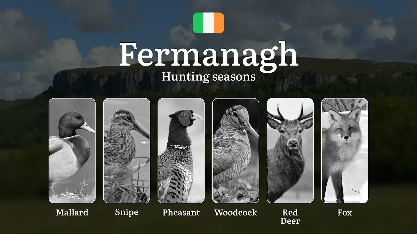 FERMANAGH'S Hunting Seasons: When the Lakelands Awaken - Snipe, Duck and Irish Wilderness Pursuits