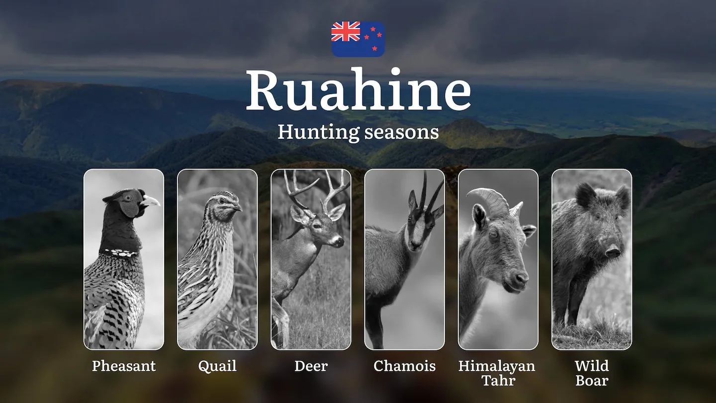 RUAHINE Forest Park Guide: Seasonality of Hunting, Restrictions and Prohibitions, Tips for Choosing the Right Time, Loca…