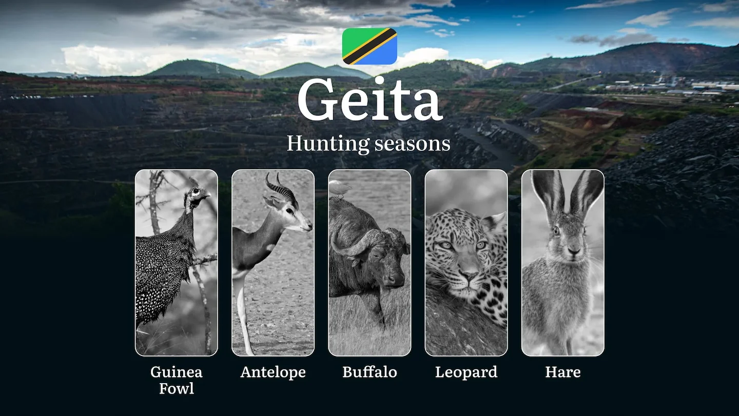 Official Hunting Timeline in Geita: Legal Limits and Seasonal Bans, Licensing Rules, Fines and Consequences for Breaches…
