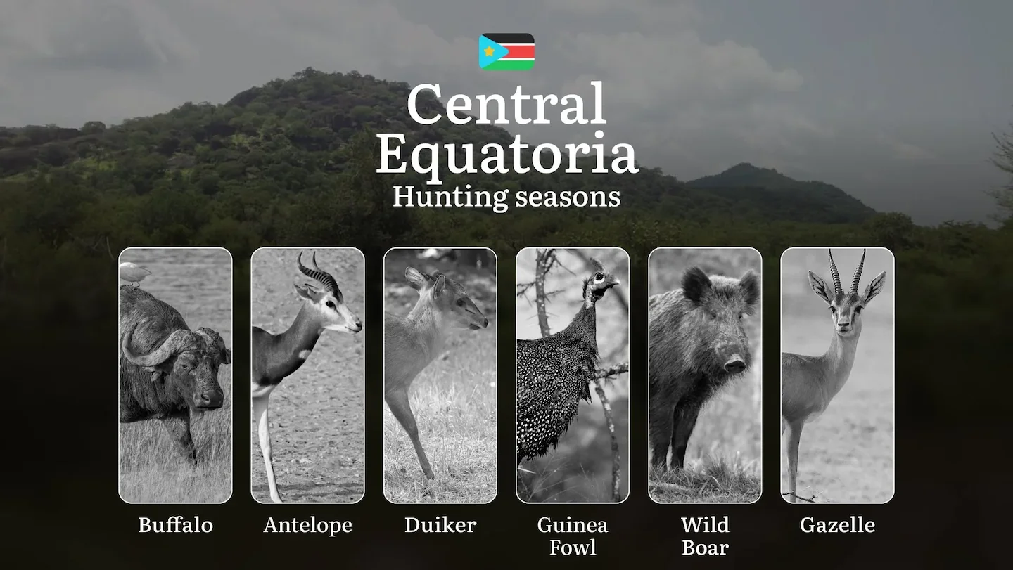 Hunting Dates in Central Equatoria: Game Seasons and Animal Movements, Licensing and Application Steps, Legal Restrictio…