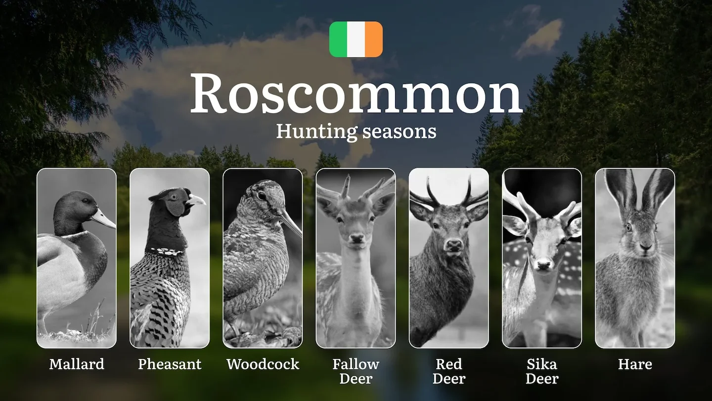 Discover the Best Hunting Seasons in ROSCOMMON: Calendar, Key Dates, Licenses, and Prime Game Opportunities