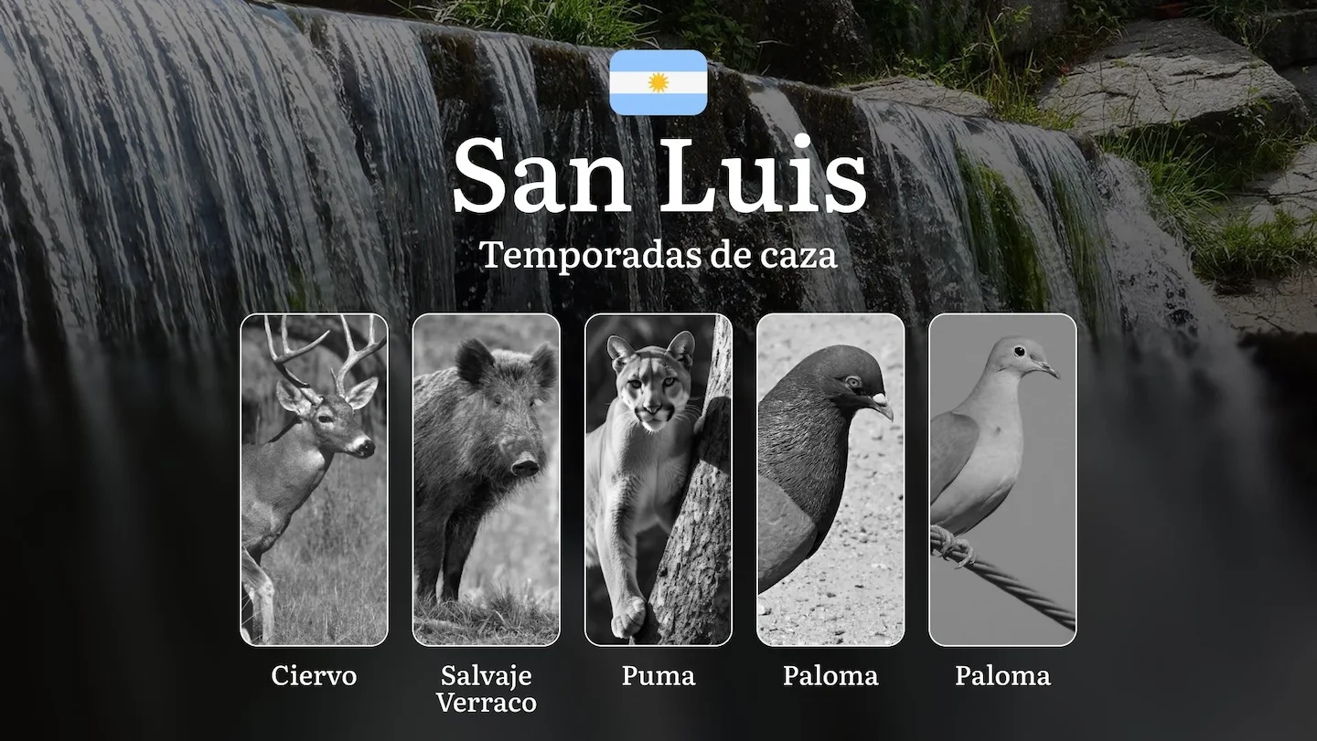 San Luis, Argentina: guía completa sobre temporadas, reglas y mejores épocas para la caza, regulación y fechas clave y p…