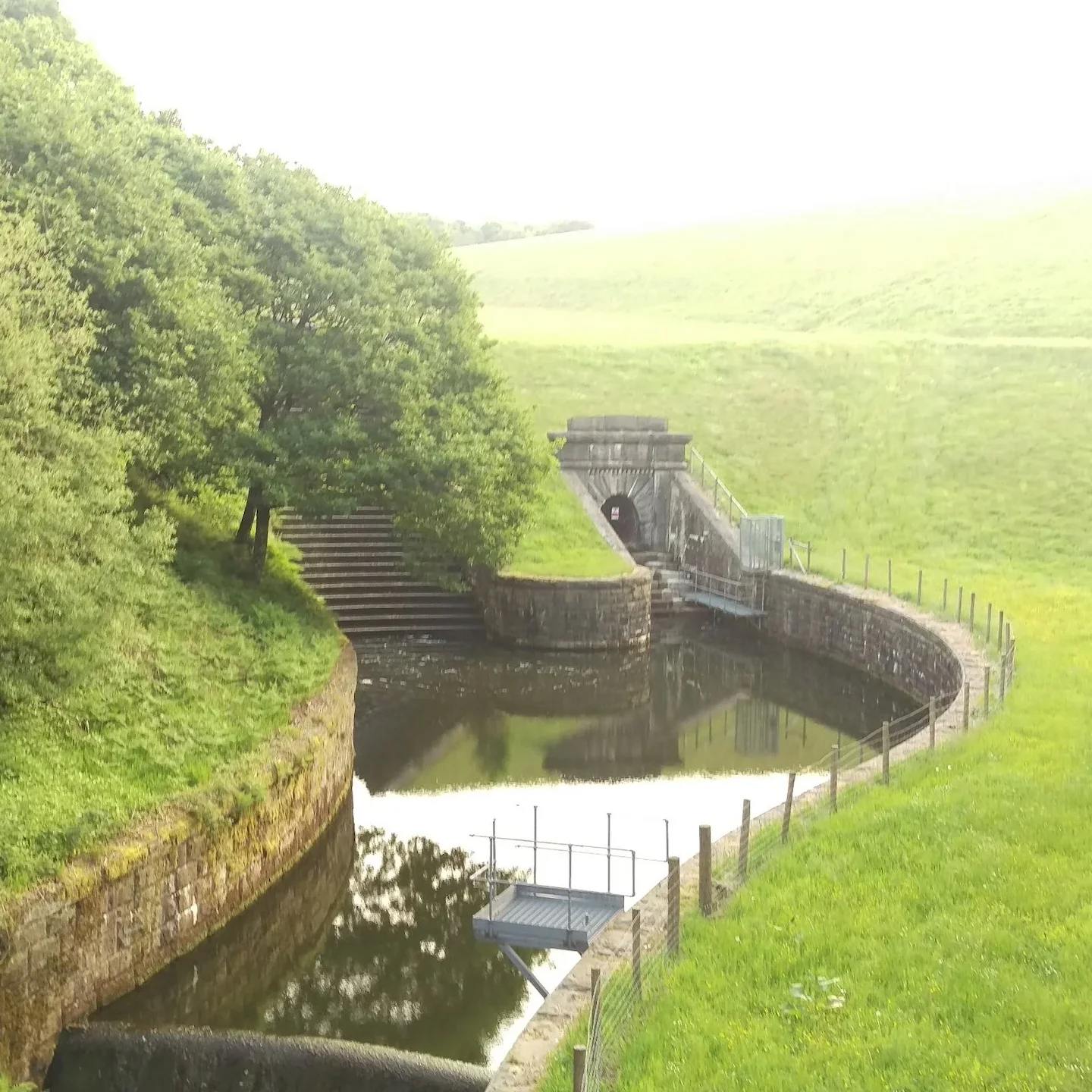 New Woodland Near Delph Reservoir: Over 4,000 Trees Planted to Boost Wildlife Habitat