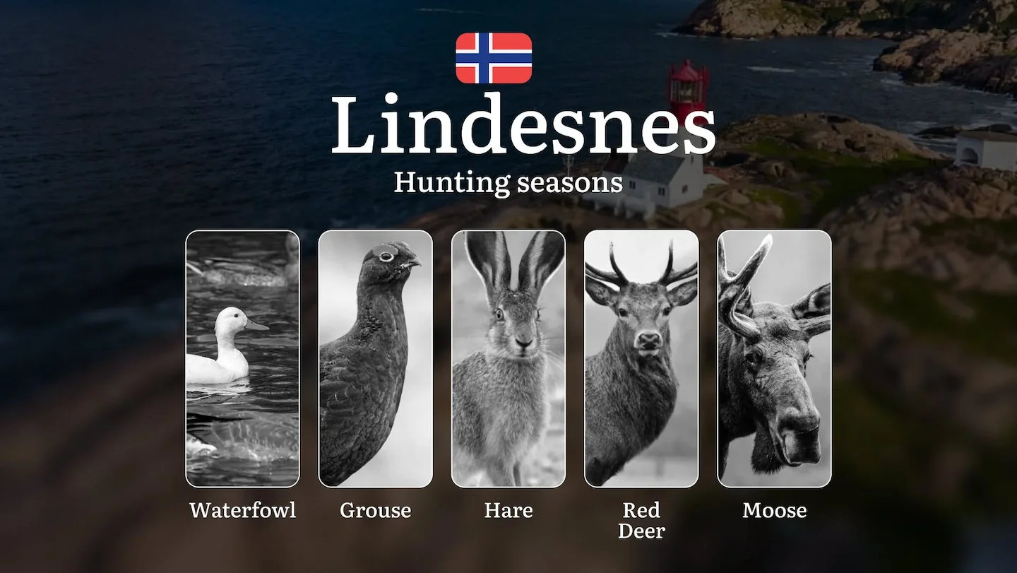 Hunting Dates in Lindesnes: Seasonality of Hunting, Timing and Regulations, Hunting Permits, Restrictions and Prohibitio…