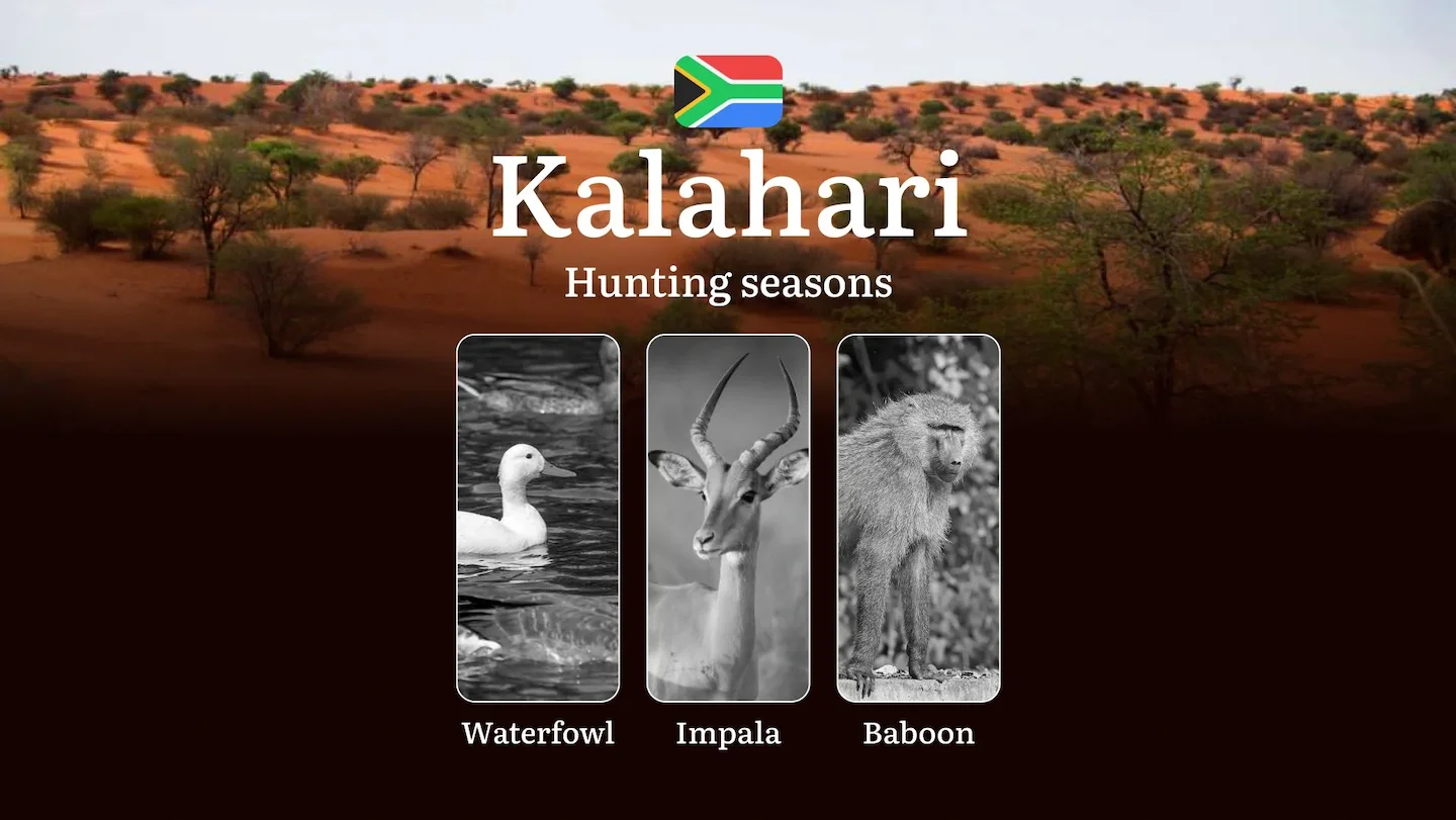 Seasons of Hunting in the Kalahari, South Africa: Dates and Times of Hunting, Penalties and Restrictions, Limits and Rul…