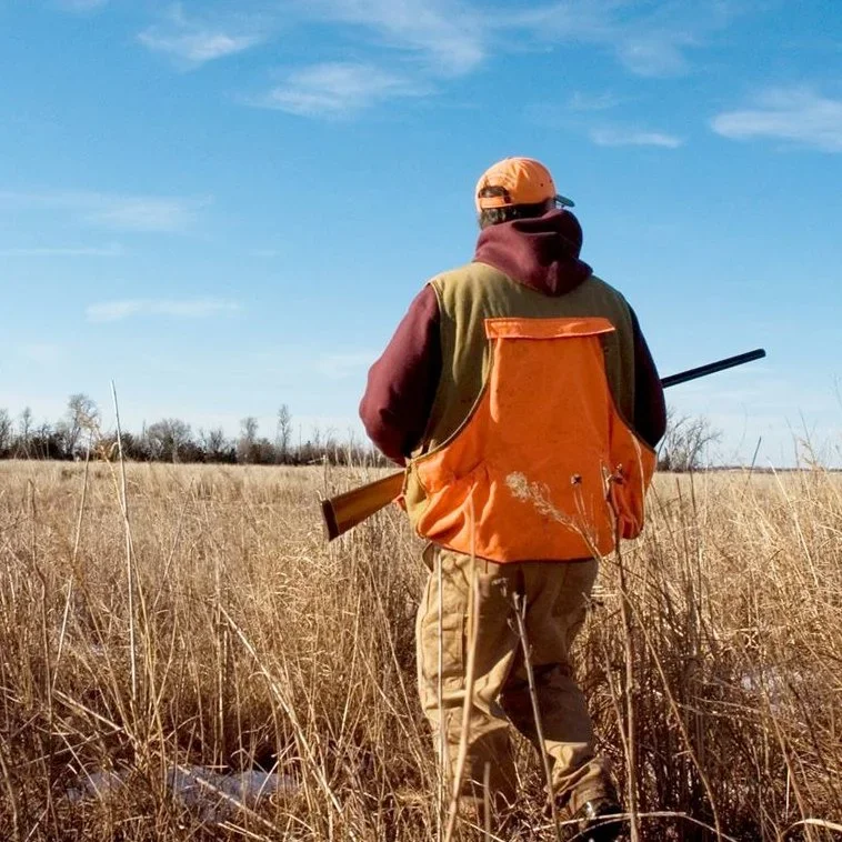 Hunting Law in the UK Under Fire as Senior Police Warn It Is “Not Fit for Purpose”