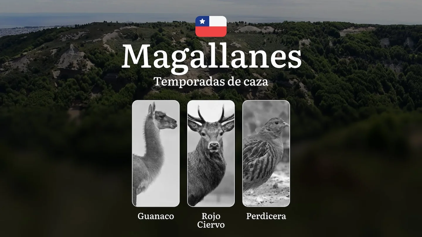 Región de Magallanes Temporadas de caza en Chile: épocas, permisos y reglas, restricciones, límites y especies protegida…