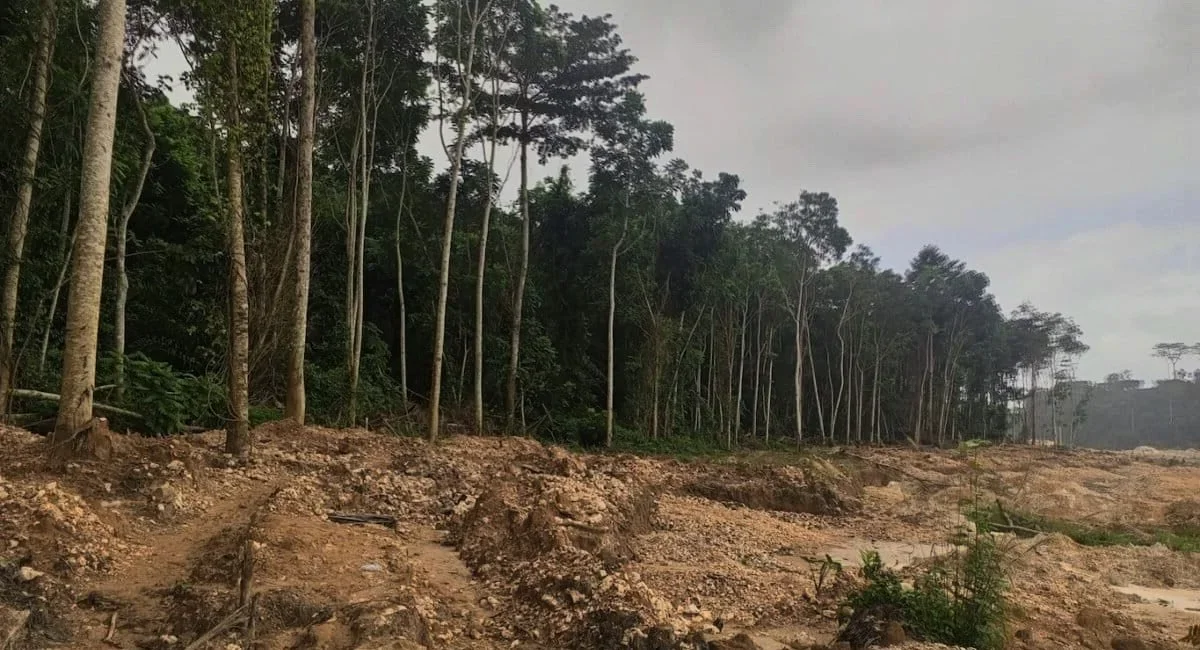 Ghana Repeals Mining Law: Verified Forest Data for Outdoor Communities