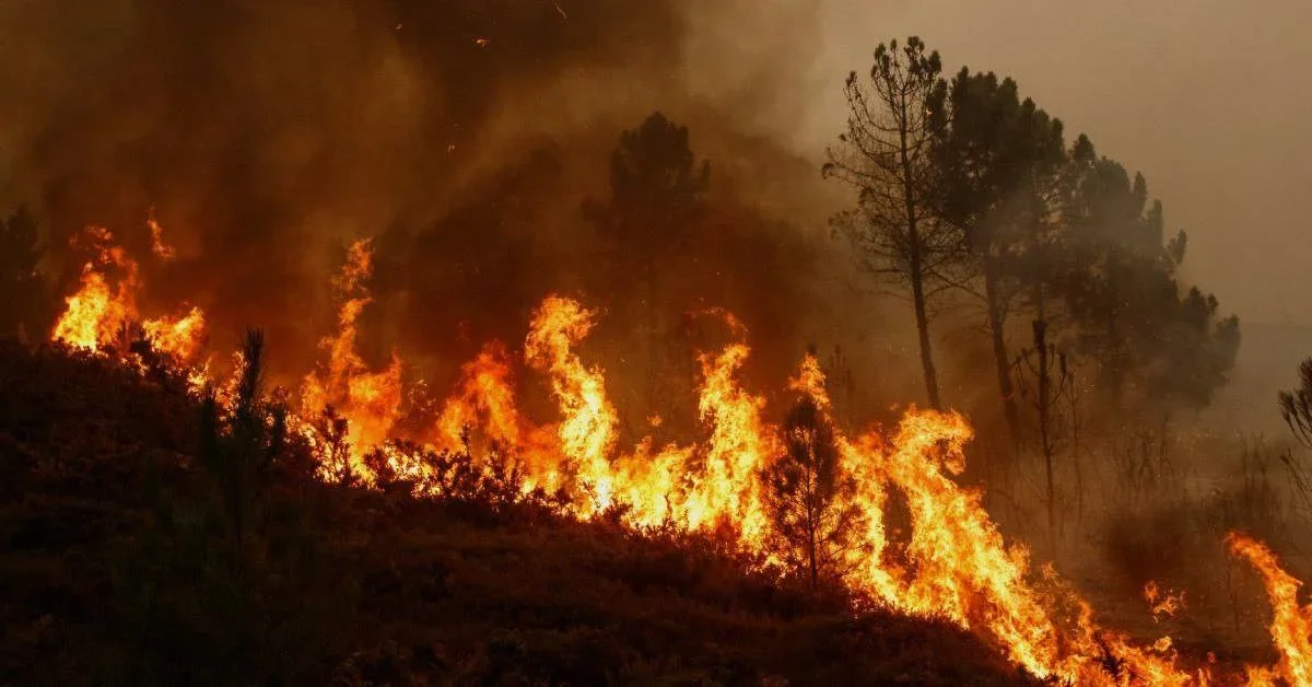 Woman Dies in Devastating Grass Fire in South Sudan’s Mundri West