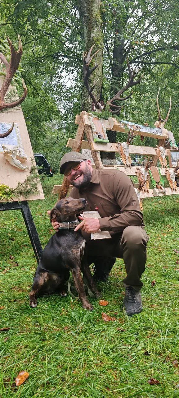 38-я Гродненская областная выставка охотничьих собак в Вороново: белорусский гончак, породы, чемпионы и будущее охотничь…