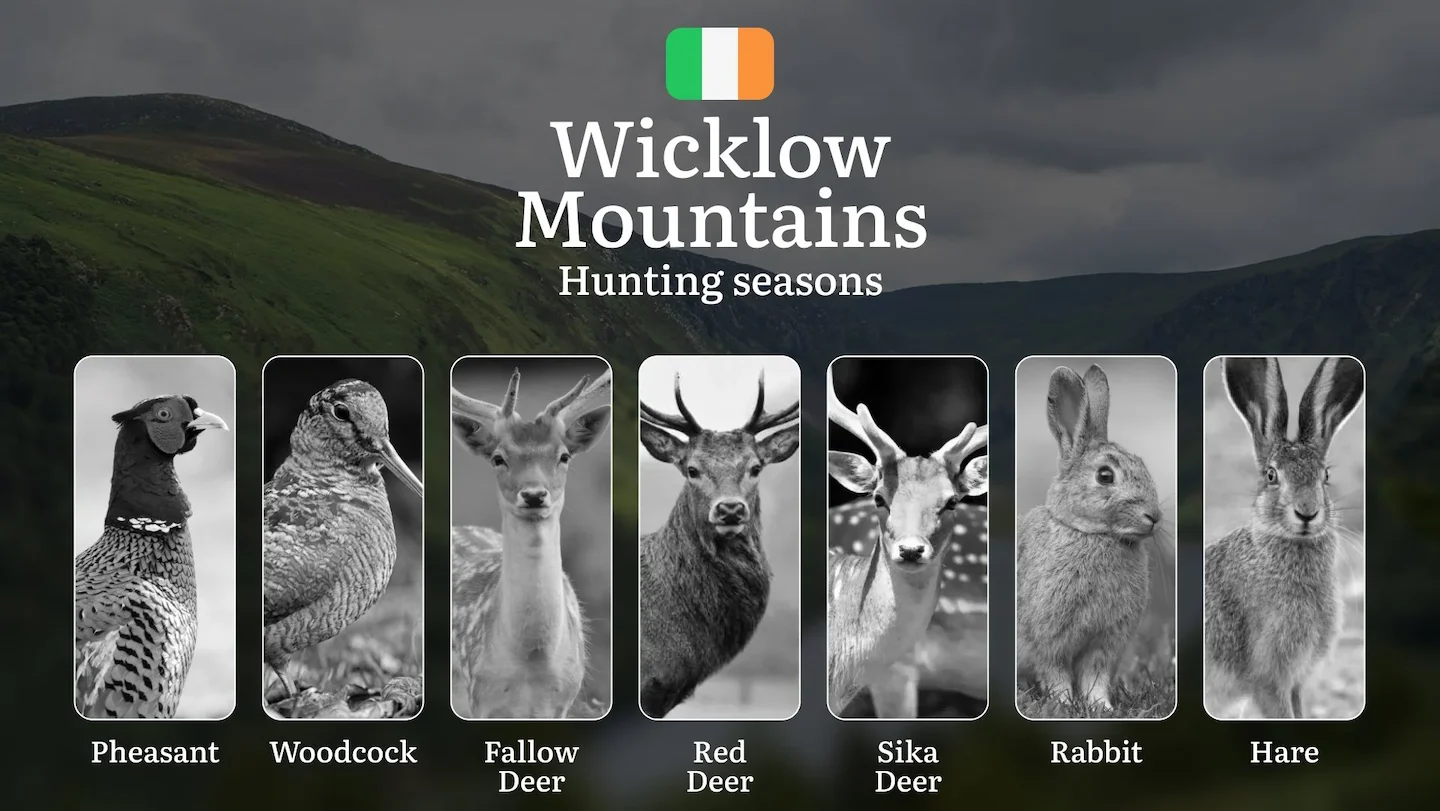 From Autumn Stags to Winter Woodcock: Decoding WICKLOW'S Hunting Calendar, Restricted Zones, and Expert Strategies for M…