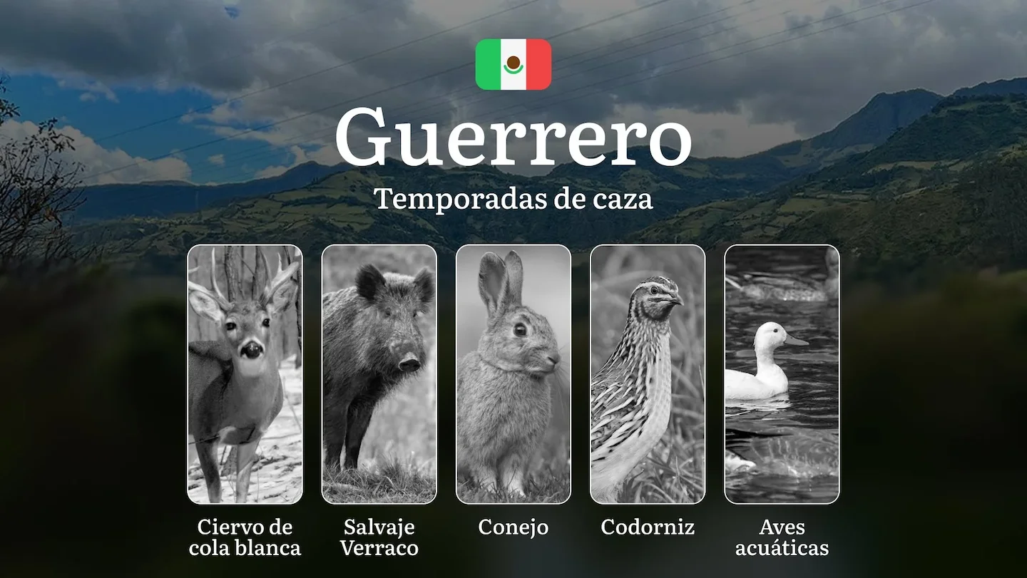 Temporadas y períodos de Caza en Guerrero: Patrones Estacionales y Actividad Cinegética, Requisitos para la Obtención de…