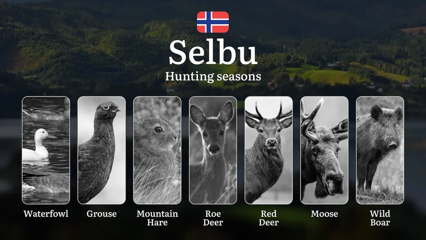 Selbu: Hunting Seasons and Timing, Regulations and Licensing, Required Documents and Procedures, Tips for Hunters