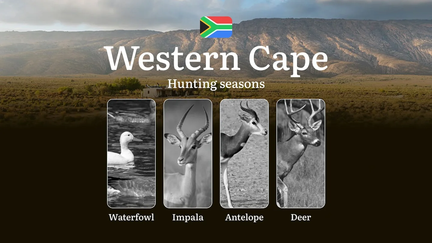 Hunting Dates in South Africa, Western Cape Region: Seasons and Periodas, Licensing, Regulations and Times for Hunting