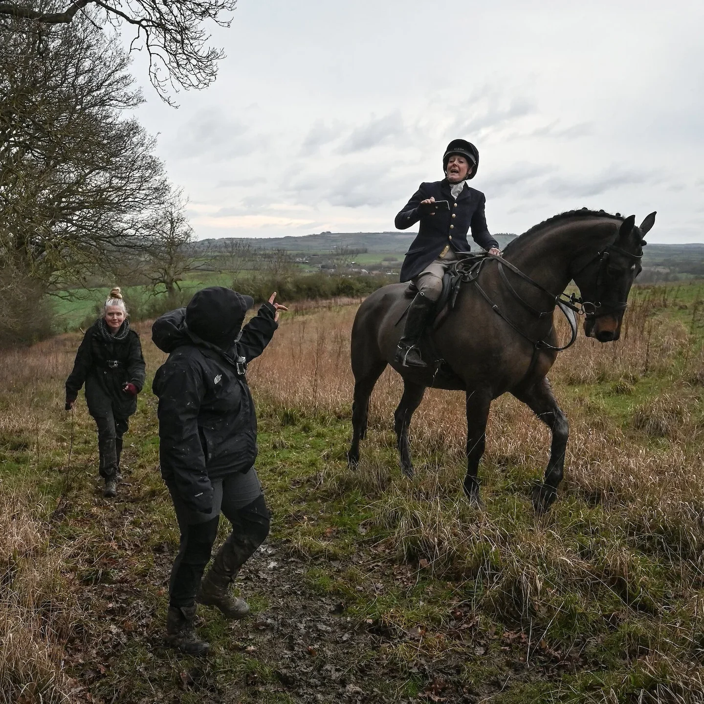 Fox Hunting Debate Reignites as Jeremy Hunt Signals Support for Lifting UK Ban