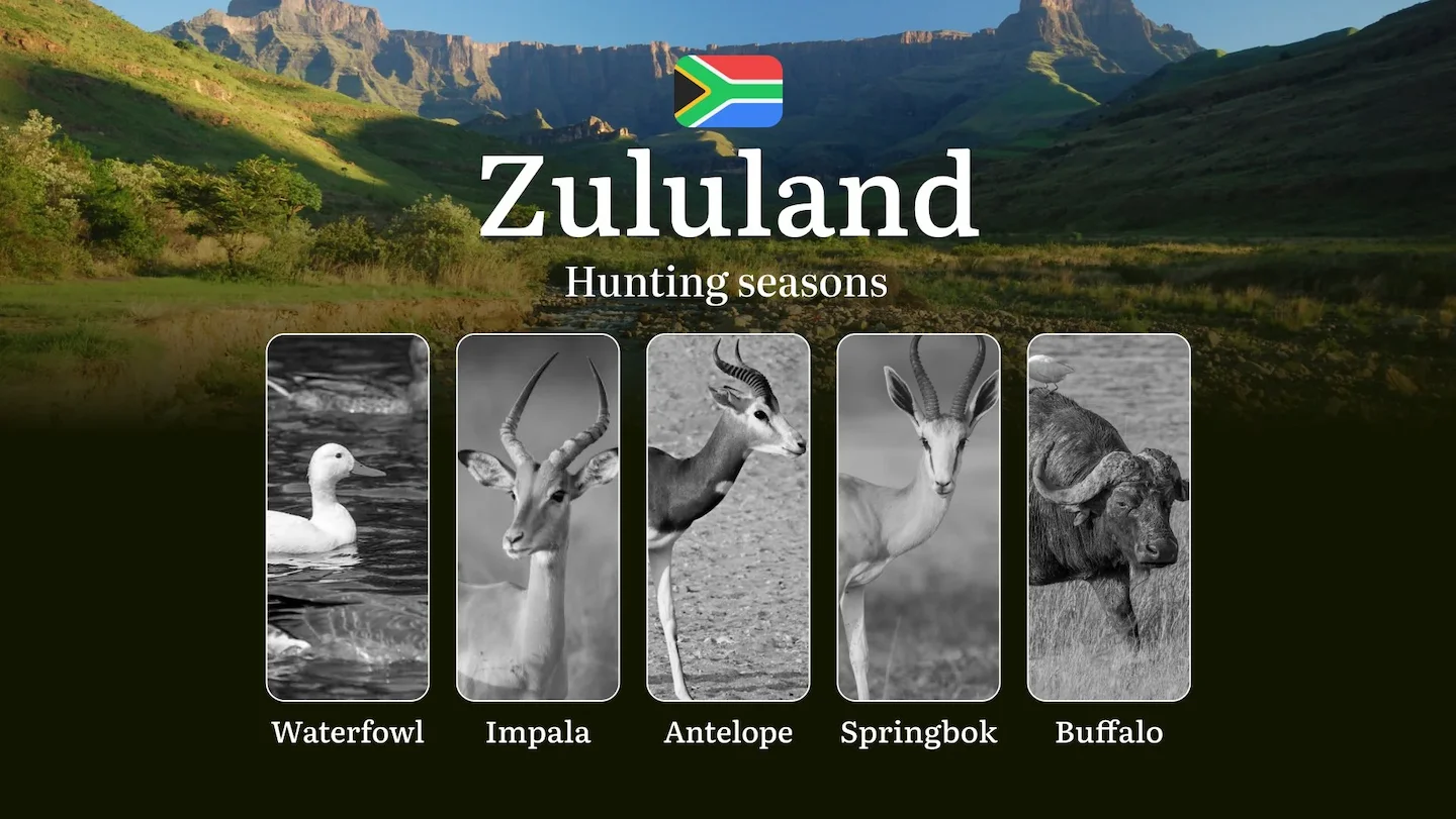 Hunting Seasons in South Africa, Zululand Region: Seasons and Periods, Regulations and Rules, Limits and Permits for Hun…