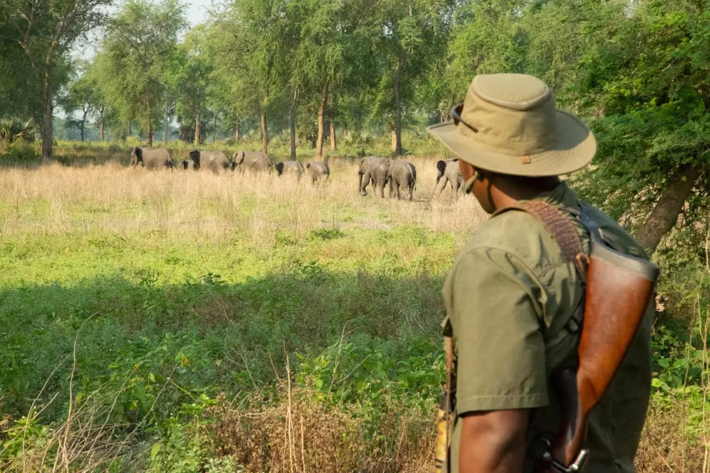 Hunting in GORONGOSA CONCESSIONS: A Unique Blend of Adventure, Conservation, and Tradition in Mozambique’s Ecologically…