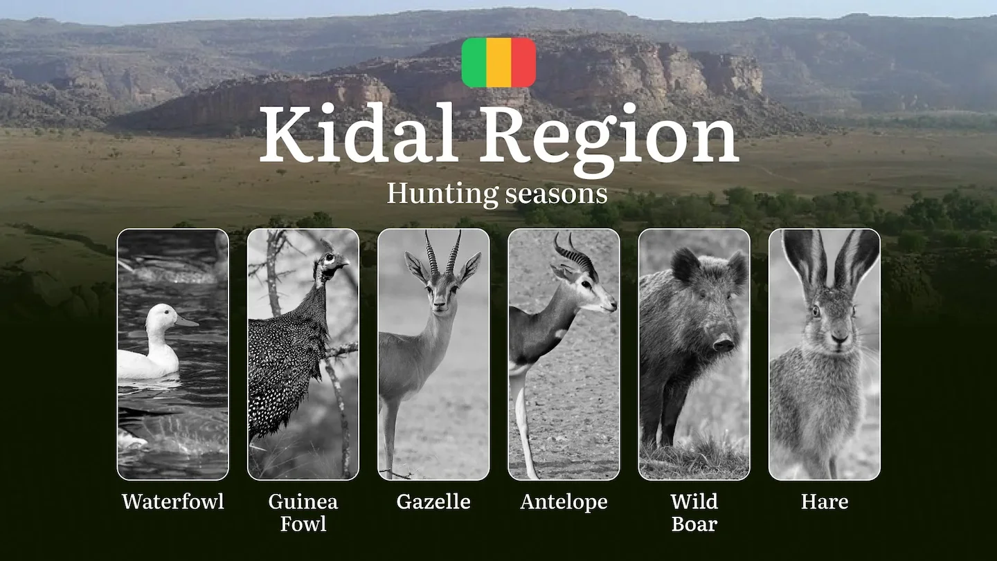 Hunting Season Schedule in Kidal Region: Year-Round Huntable Species, Game Movement by Season, and the Procedure for Obt…