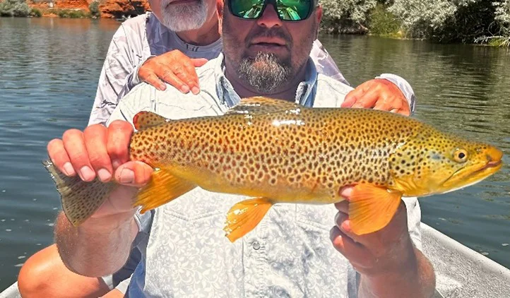 Wyoming Fishing Report July 2026: Top 5 Rivers to Fish & WGFD Hunting Season Updates