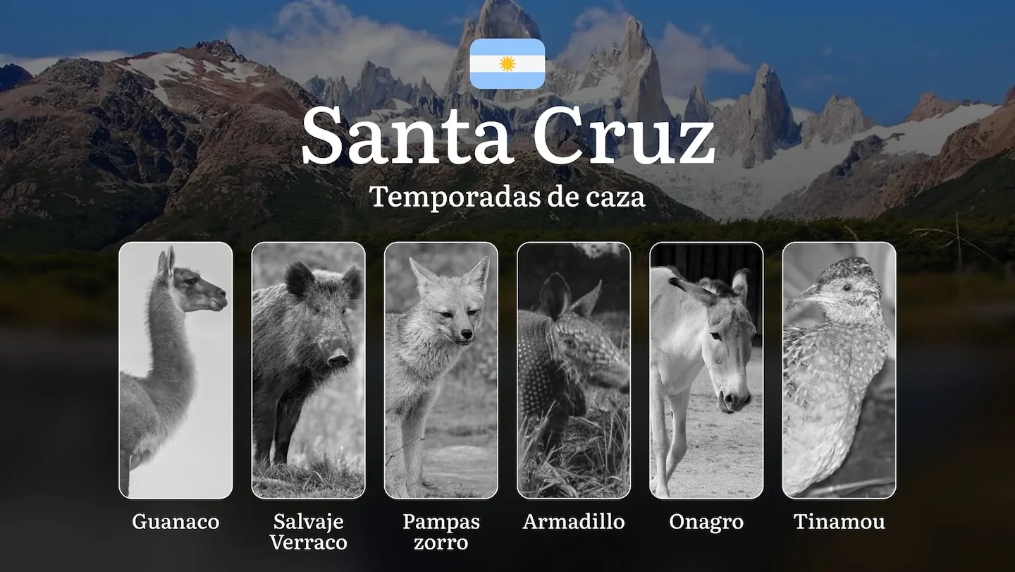Temporadas de caza en Argentina: fechas, normas y particularidades de la región de Santa Cruz Forest Steppe: Prohibicion…