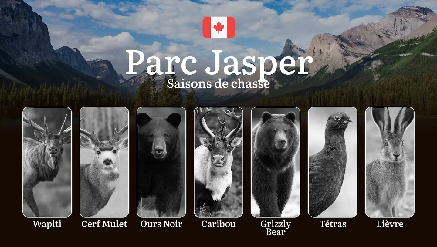 Les périodes de chasse dans le PARC JASPER: Le calendrier complet, les règles spécifiques du parc national et nos consei…