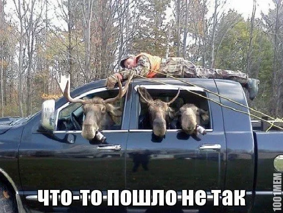 Охота дикая добавил(-а) 1 фото