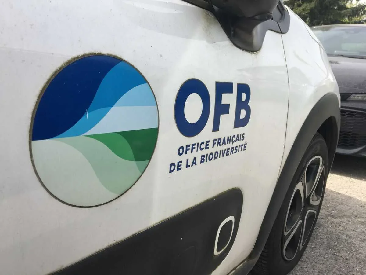 Loir-et-Cher: un homme condamné à 1 200 euros d'amende pour avoir «essayé» sa carabine en pleine nuit