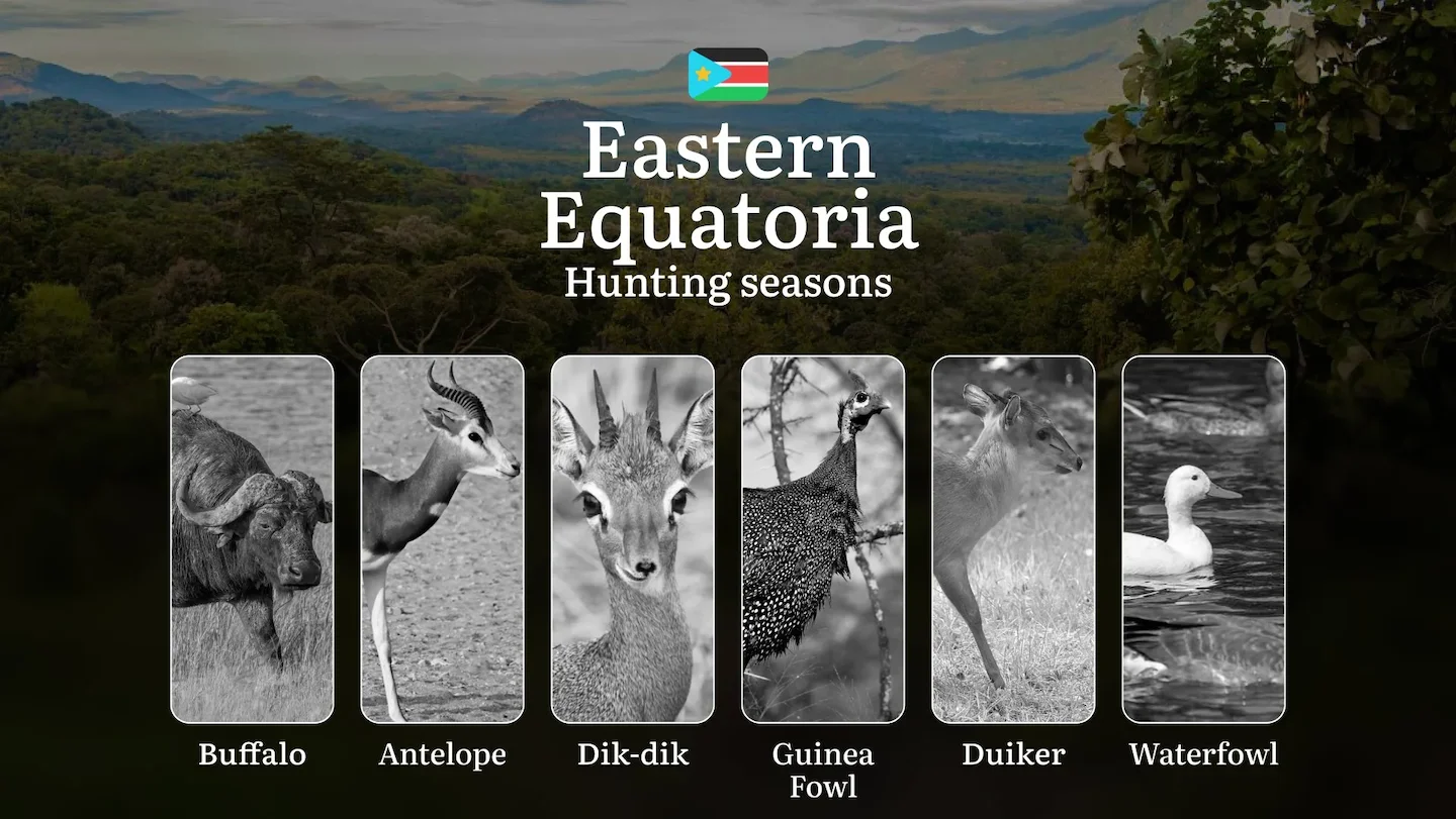 Hunting Calendar for Eastern Equatoria: Regulations, Permits, and Best Times for Hunting