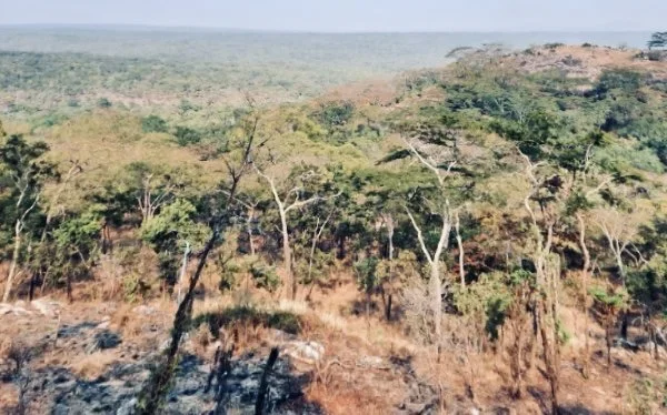 Hunting in MAPUTO SPECIAL RESERVE: A Comprehensive Guide to Geography, Techniques and Target Species