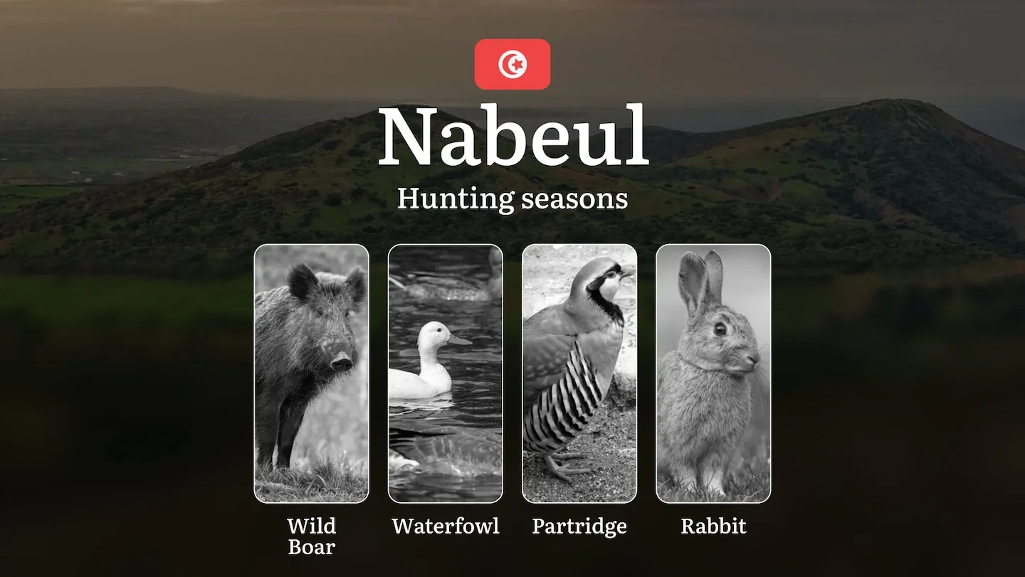 Hunting Seasons in NABEUL: Opening and Closing Dates, Peak Activity Periods, Protected Species,  Regulatory Restrictions…
