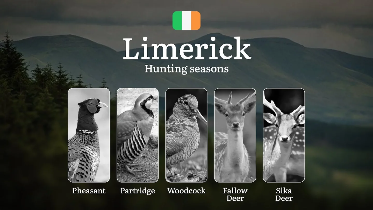 Chasing the Wild Pulse: A Hunter’s Insight into Seasonal Rhythms, Rules, and Rewards in County LIMERICK