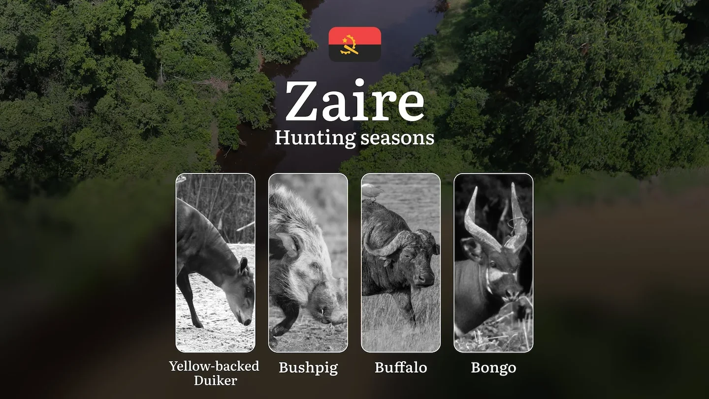 Hunting Calendar in Zaire: The Thrill of Hunting Events and Traditions, Legislation & General Hunting Rules and Permits