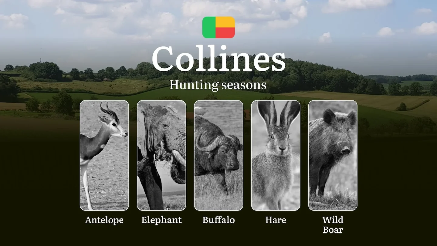 Hunting Seasons in Benin’s COLLINES Region: Hunting Periods, Licenses, Rules, Dates and Times for Hunting