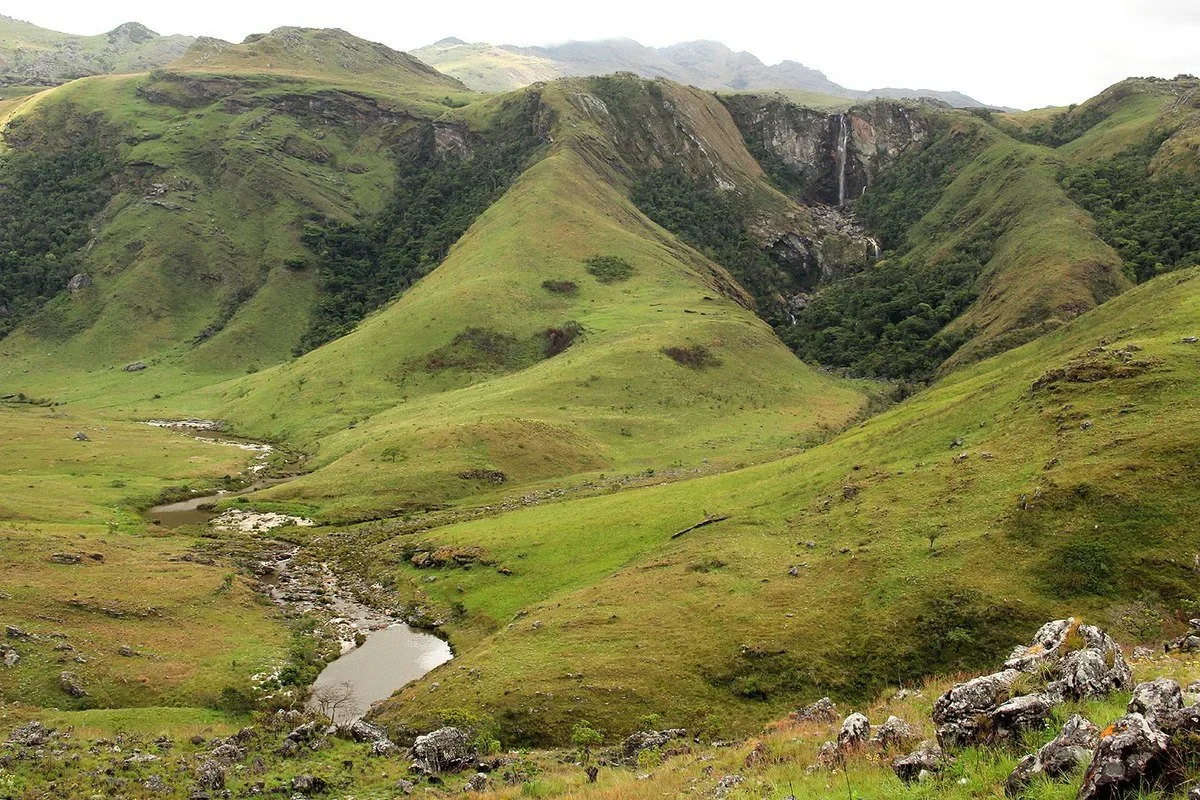 Hunting in Chimanimani, Zimbabwe: Exploring Geographical characteristics in the Chimanimani, hunting seasons of the Regi…