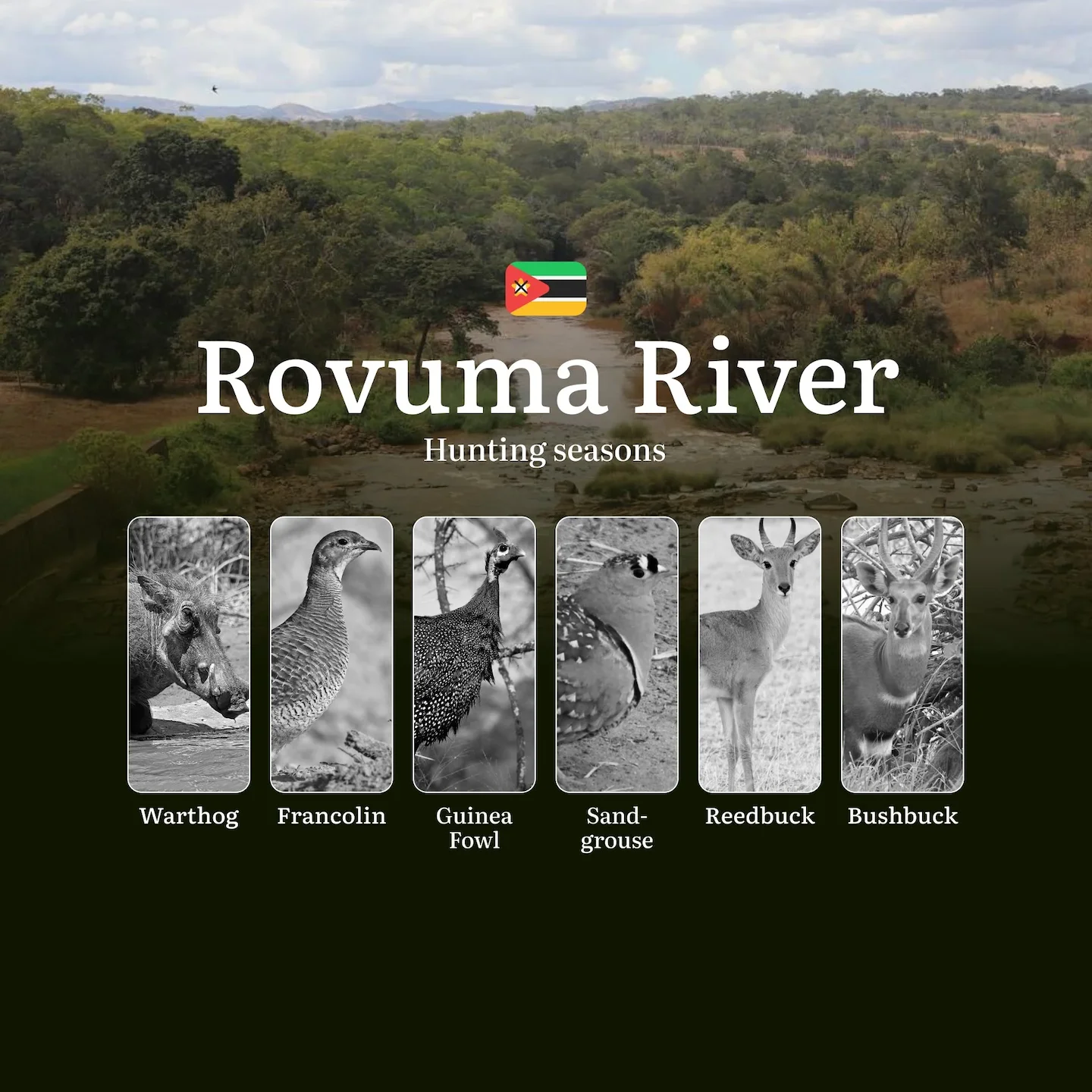 A Hunter’s Calendar to Rovuma River Region in Mozambique – Rules, Timing, and Tactics