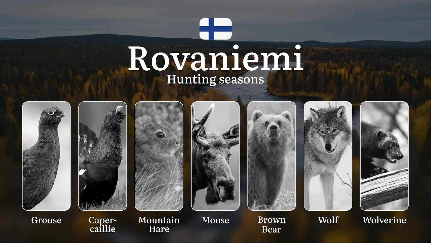 Hunting Seasons in ROVANIEMI: Opening & Closing Dates, Required Licenses, Key Regulations and Restrictions