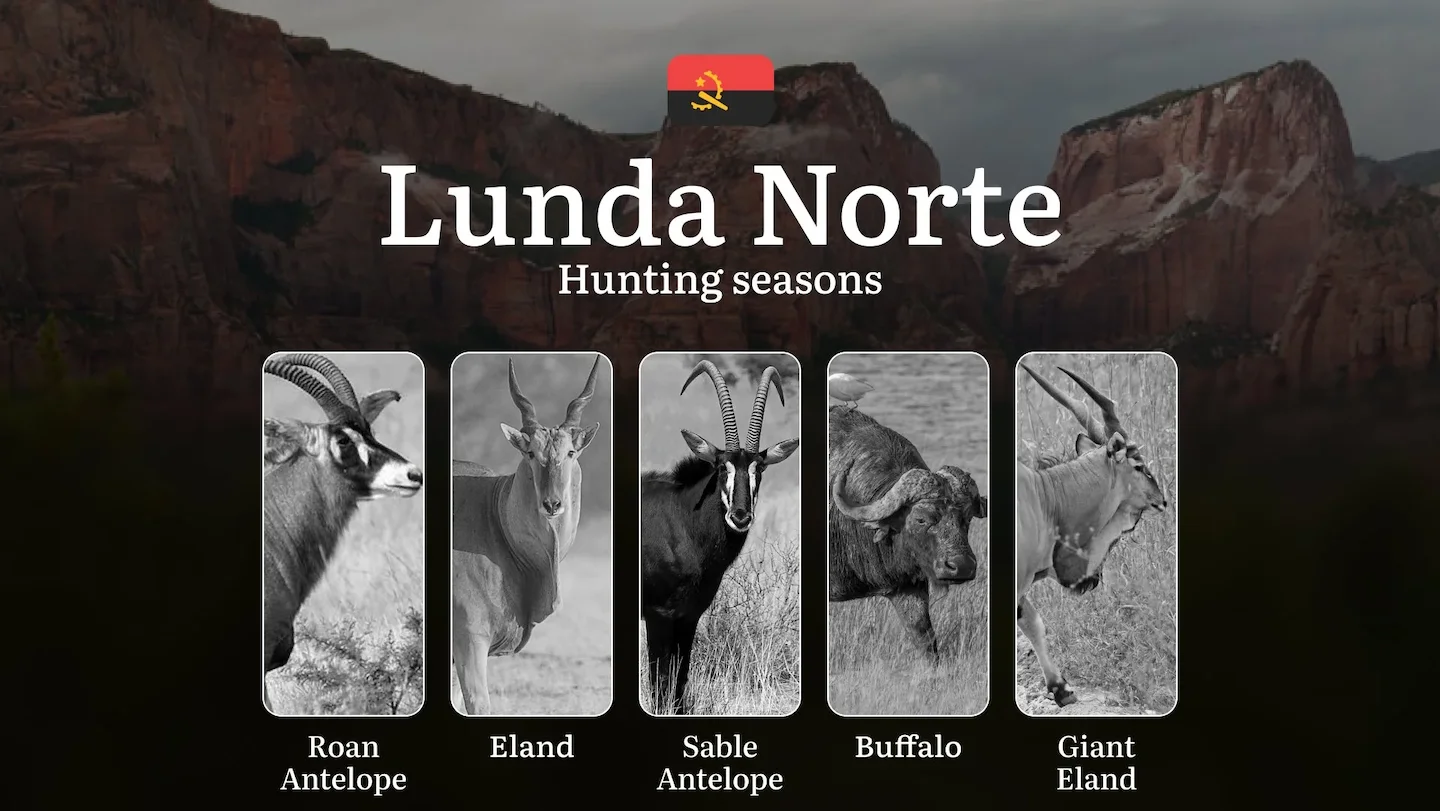 Hunting Through the Seasons in Lunda Norte: Rules, Permits & Cultural Events and Traditions